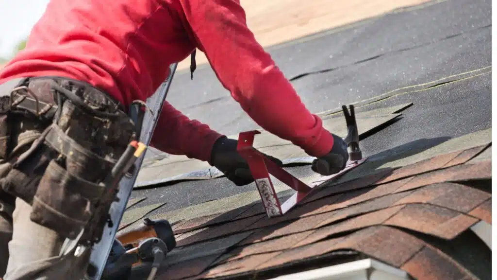 hammer roof