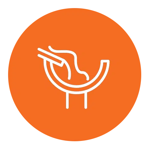 Gutter Repairs & Replacement icon