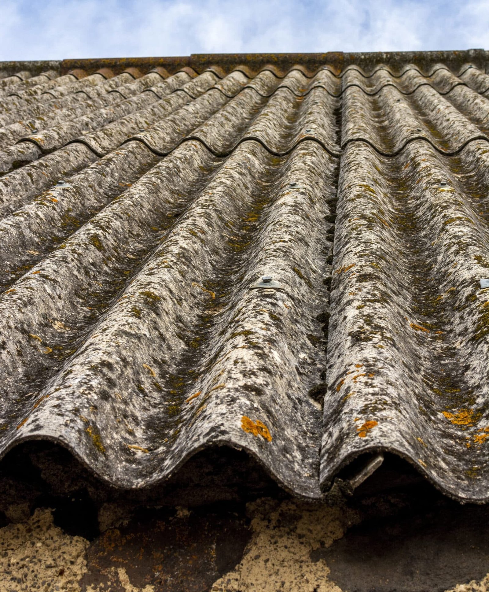 close up shot of asbestos roof removal and algae on roof