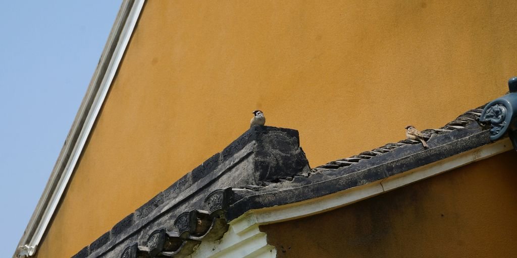 Need A Fascia & Soffit Facelift?