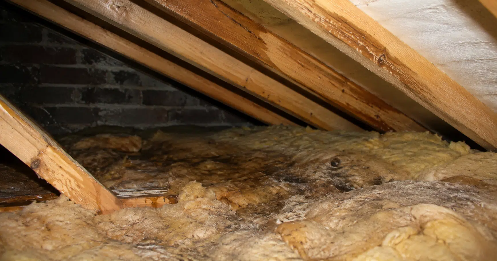 The Real Cost of Ignoring a Small Roof Leak in Dublin