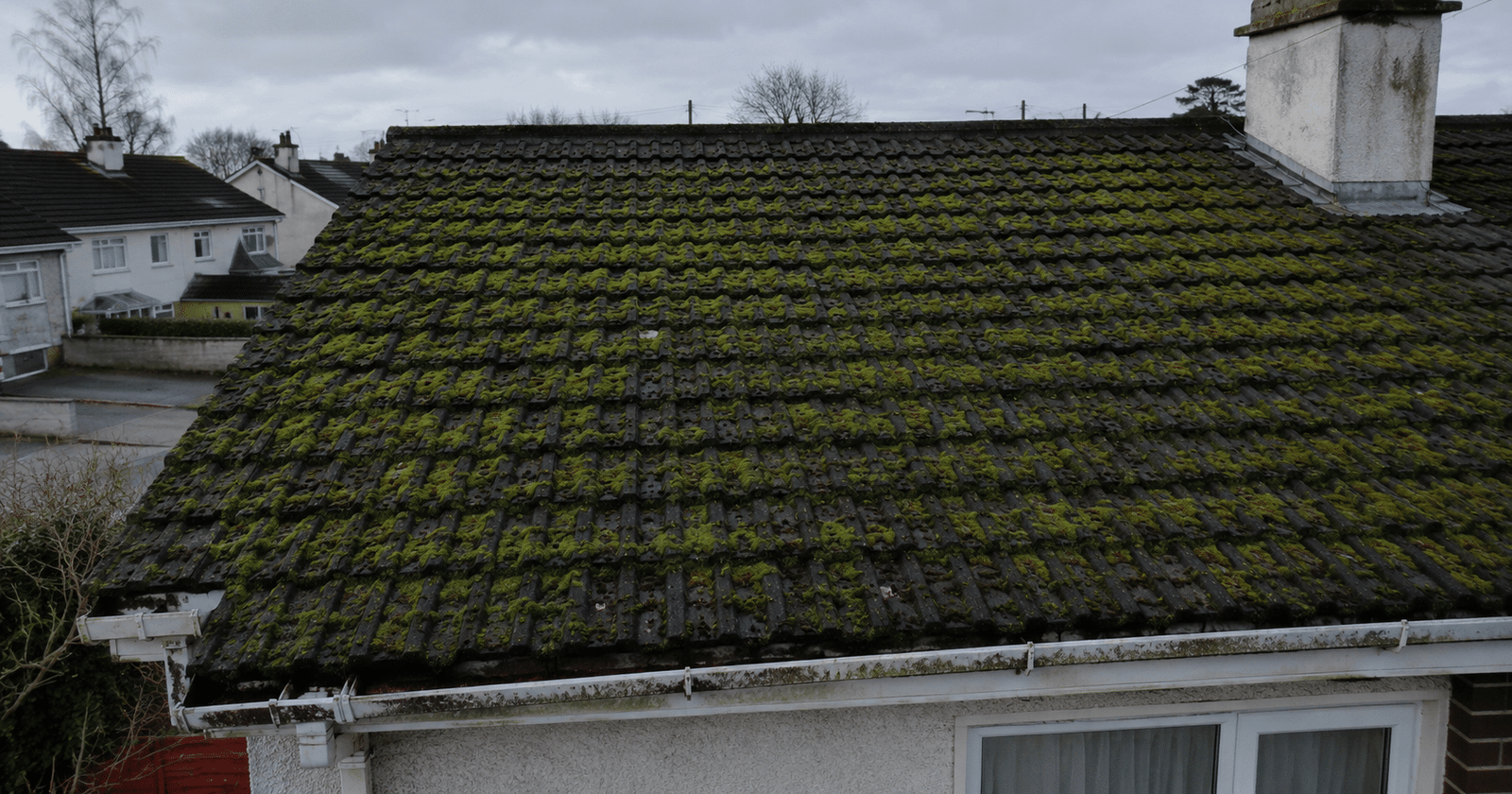 How to Get Rid of Moss on Your Roof in Ireland