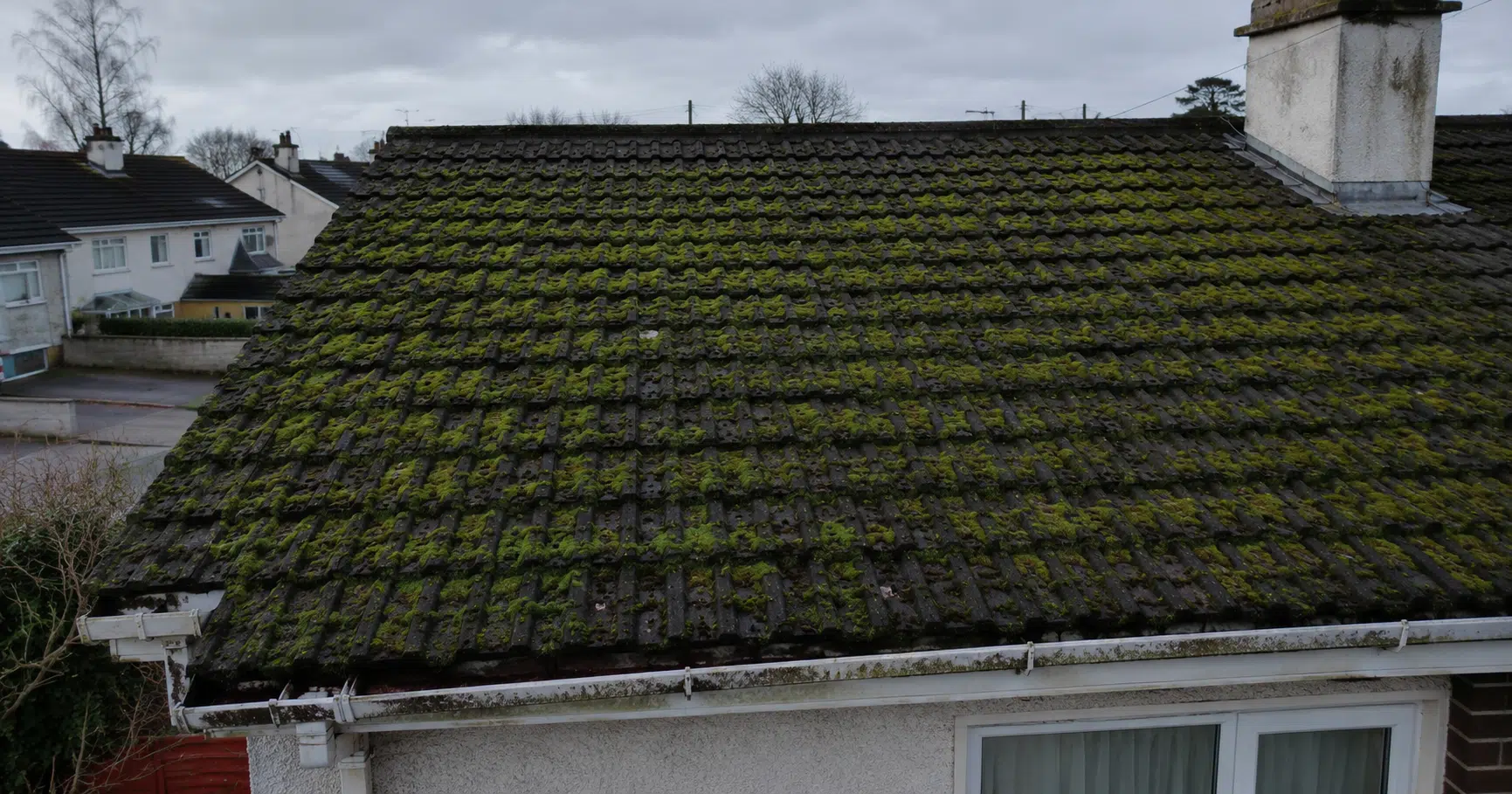 How to Get Rid of Moss on Your Roof in Ireland